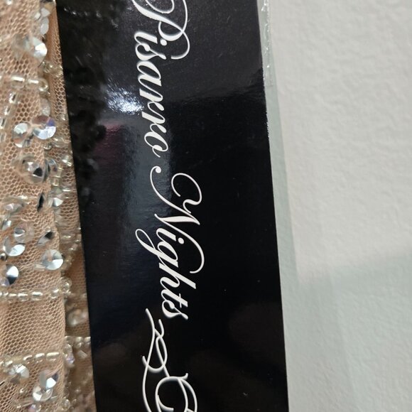 Pisarro Nights Beaded Mother of the Bride Blouson Maxi Dress Blush 16W - Picture 4 of 10